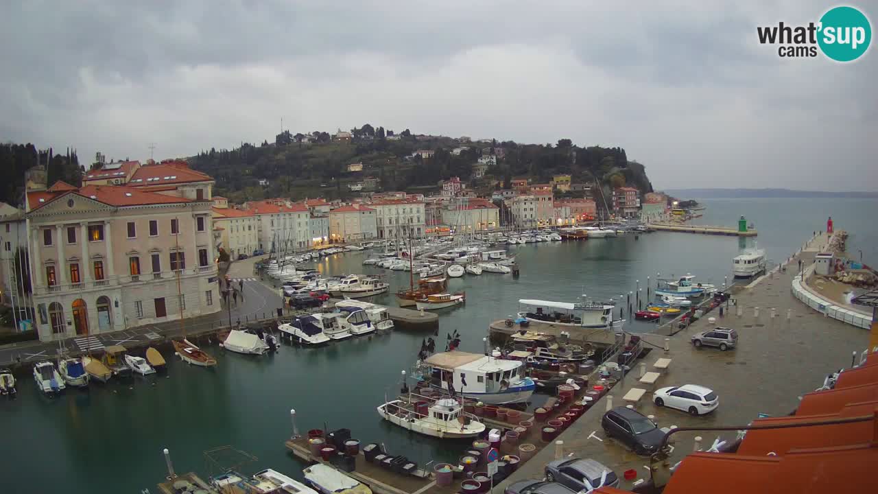 Webcam en direct de Piran “Mandrač” – Incroyable vue en direct de la Villa Piranesi