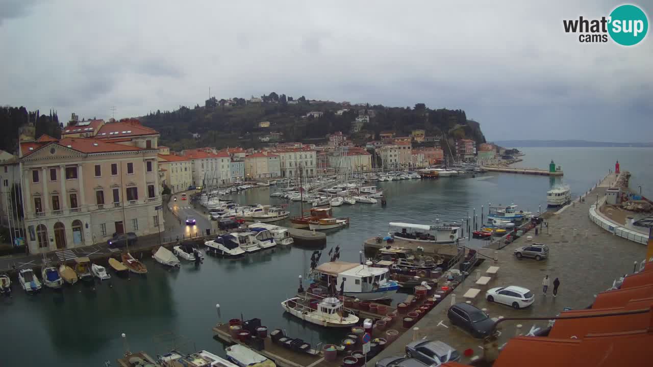 Live webcam from Piran “Mandrač” – Amazing live view from Villa Piranesi