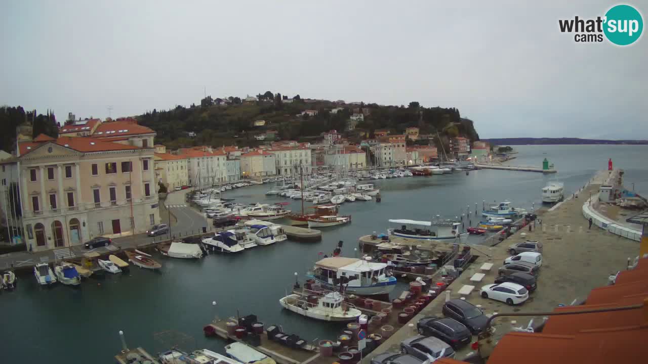 Live webcam from Piran “Mandrač” – Amazing live view from Villa Piranesi