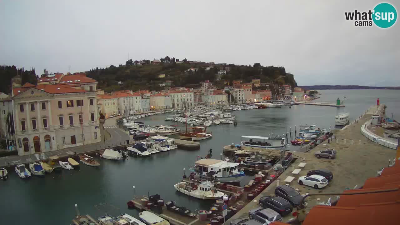 Live webcam da Pirano “Mandrač” – Splendida vista live da Villa Piranesi