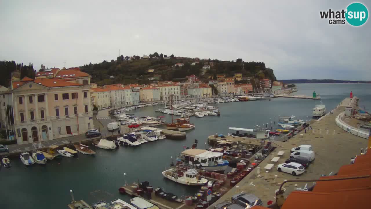 Live webcam from Piran “Mandrač” – Amazing live view from Villa Piranesi