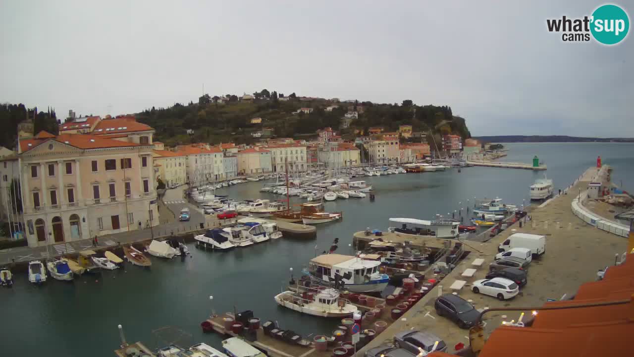 Live webcam from Piran “Mandrač” – Amazing live view from Villa Piranesi