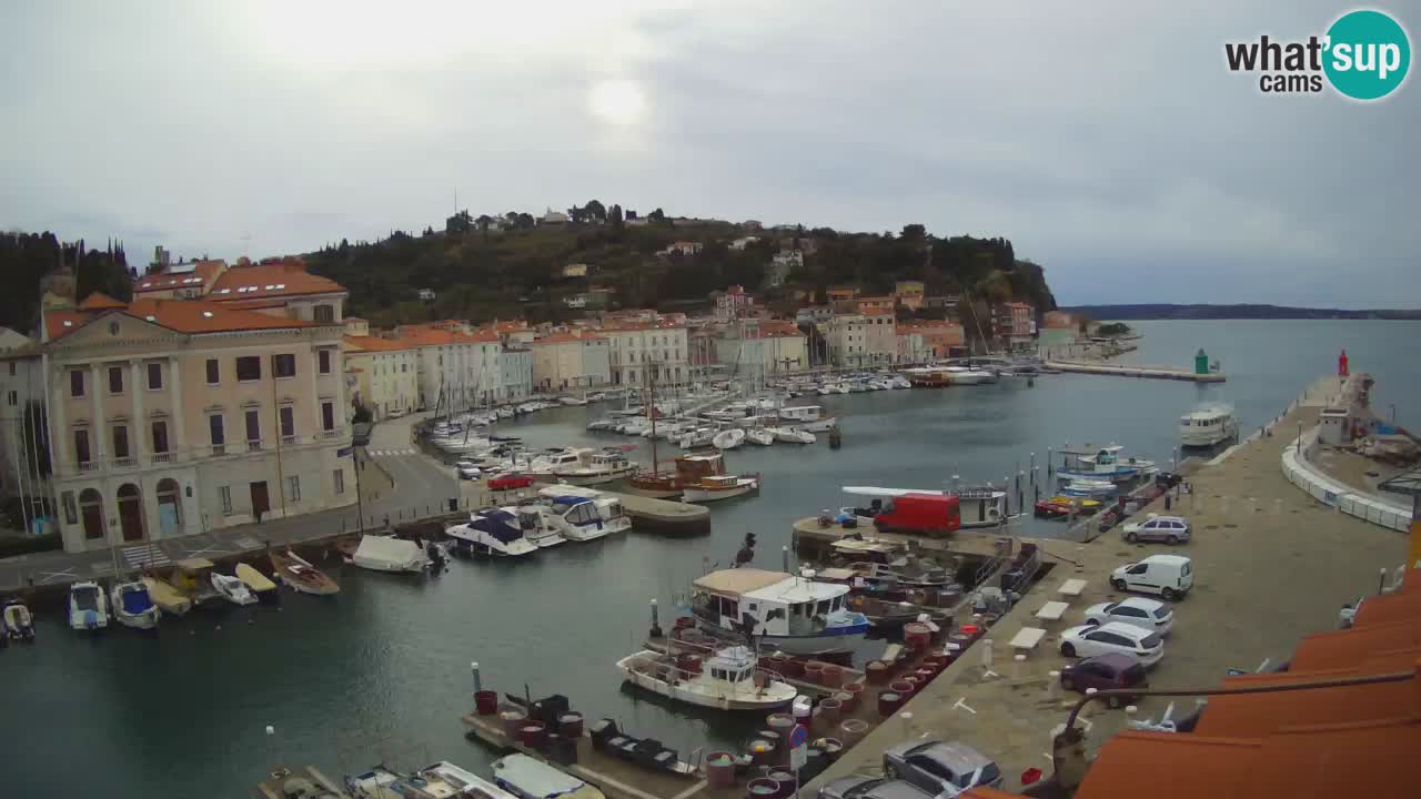 Live-Webcam aus Piran “Mandrač” – Erstaunliche Live-Ansicht von Villa Piranesi