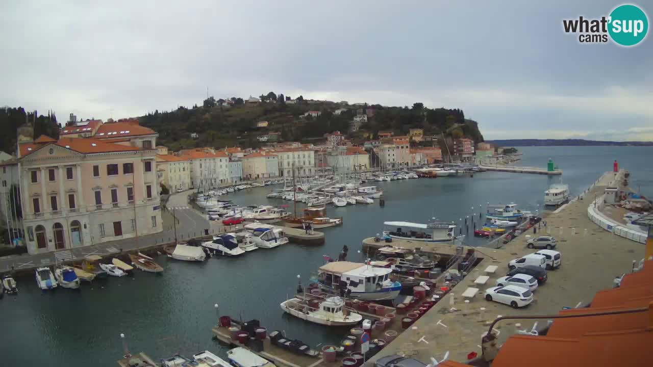 Webcam en direct de Piran “Mandrač” – Incroyable vue en direct de la Villa Piranesi