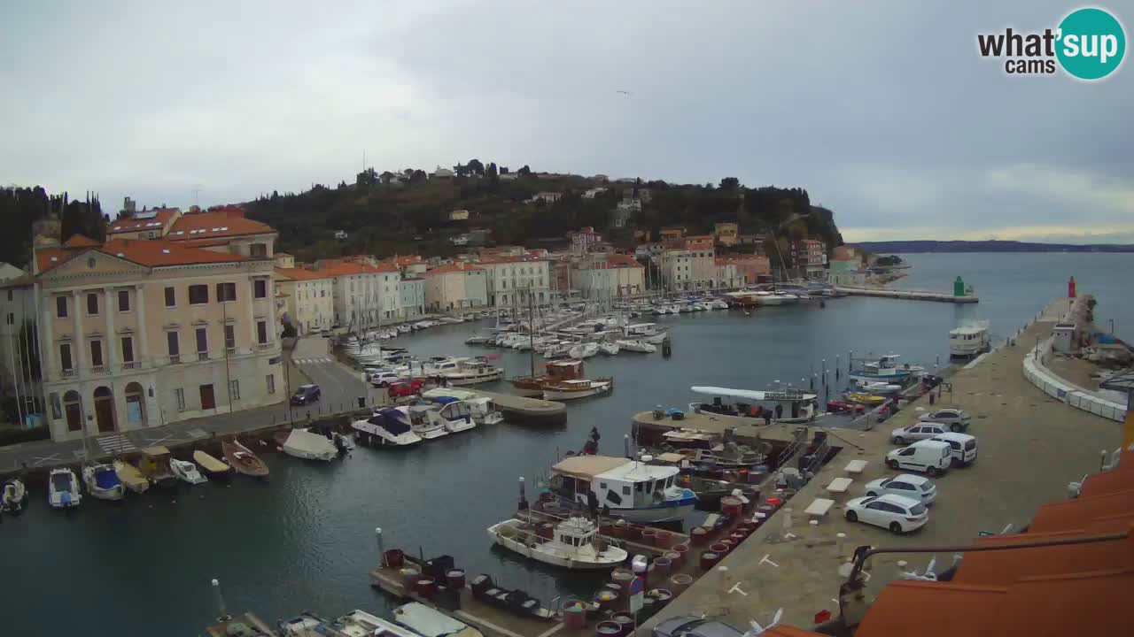 Live webcam da Pirano “Mandrač” – Splendida vista live da Villa Piranesi