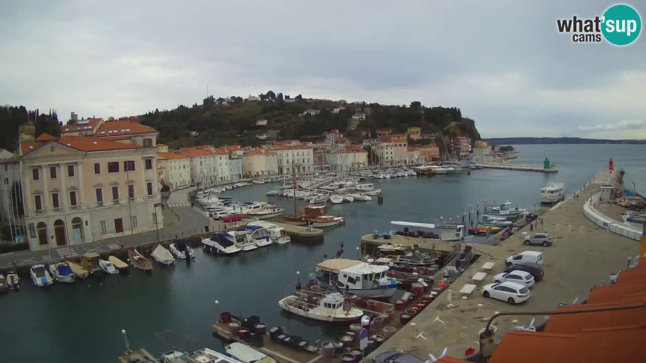 Live-Webcam aus Piran “Mandrač” – Erstaunliche Live-Ansicht von Villa Piranesi