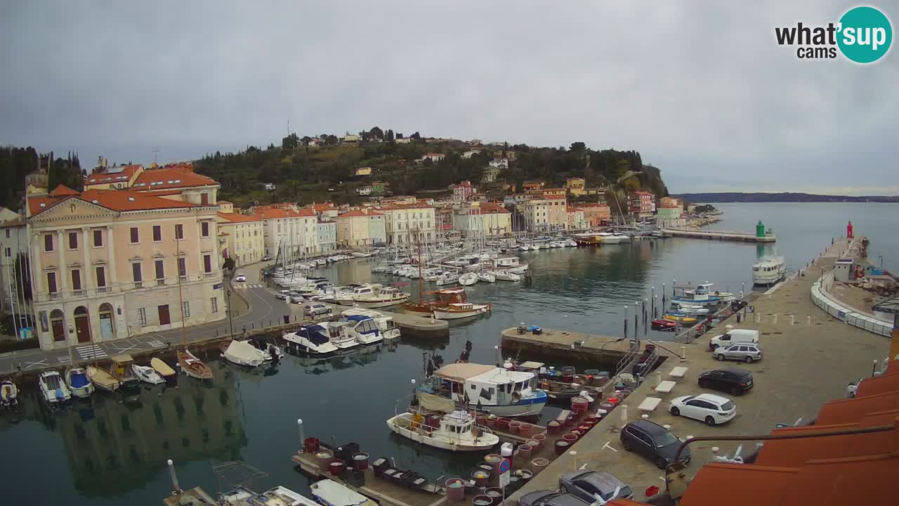 Live webcam from Piran “Mandrač” – Amazing live view from Villa Piranesi