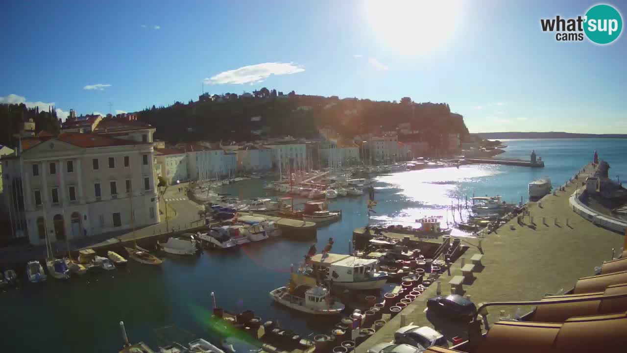 Live webcam da Pirano “Mandrač” – Splendida vista live da Villa Piranesi