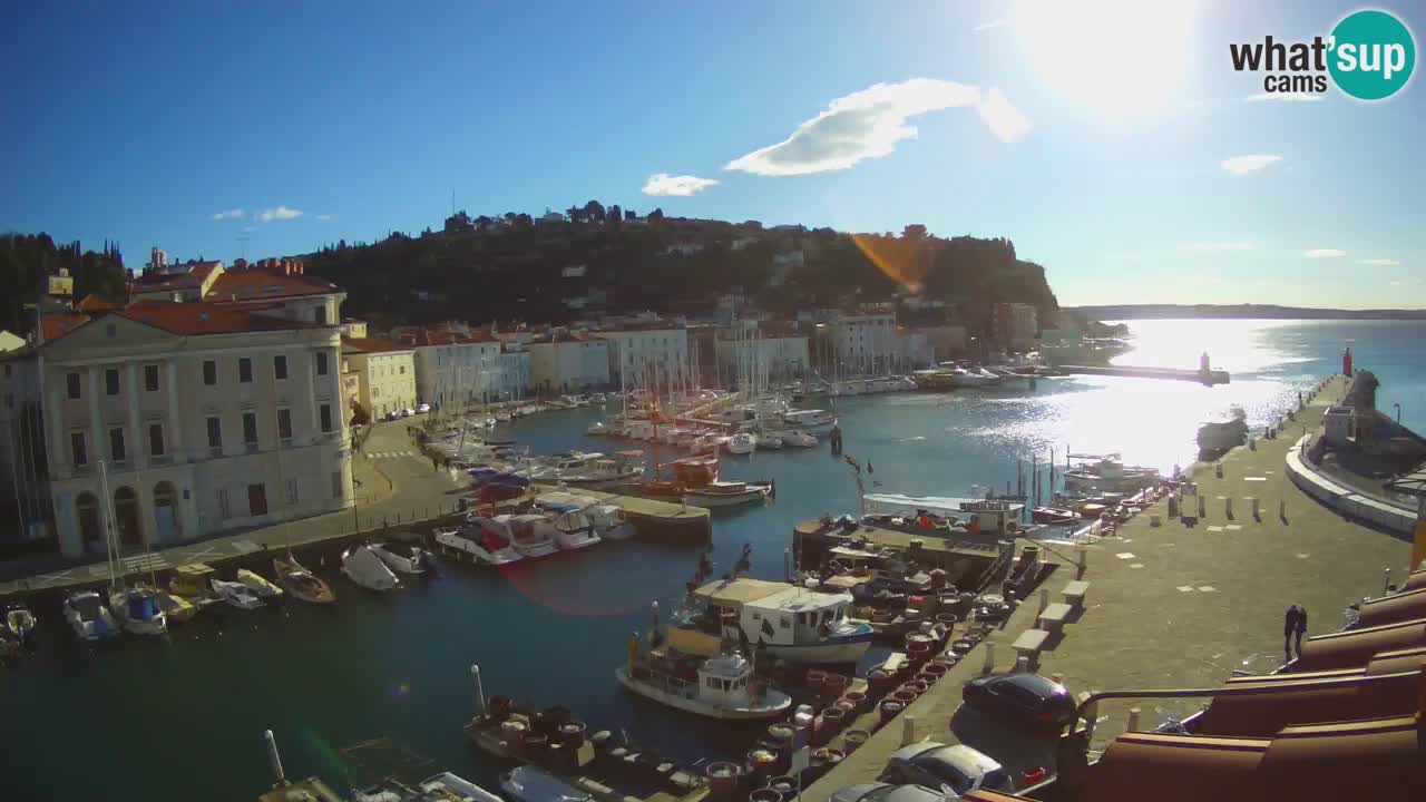 Live webcam da Pirano “Mandrač” – Splendida vista live da Villa Piranesi