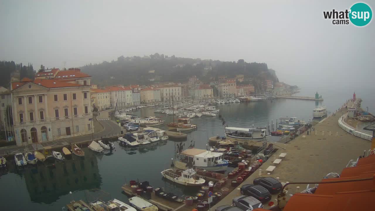 Webcam en direct de Piran “Mandrač” – Incroyable vue en direct de la Villa Piranesi