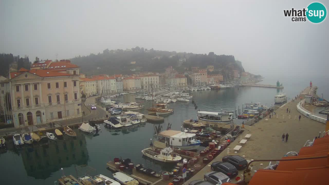 Webcam en direct de Piran “Mandrač” – Incroyable vue en direct de la Villa Piranesi