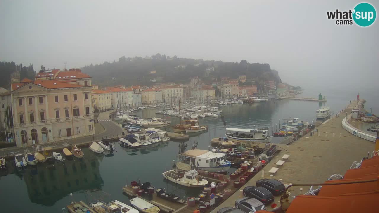 Live-Webcam aus Piran “Mandrač” – Erstaunliche Live-Ansicht von Villa Piranesi