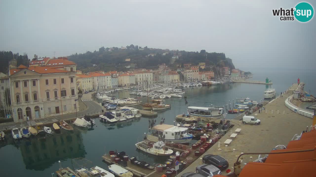 Live webcam from Piran “Mandrač” – Amazing live view from Villa Piranesi