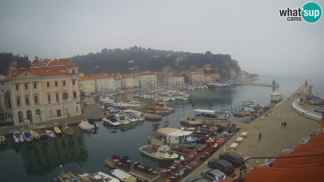 Webcam en direct de Piran “Mandrač” – Incroyable vue en direct de la Villa Piranesi