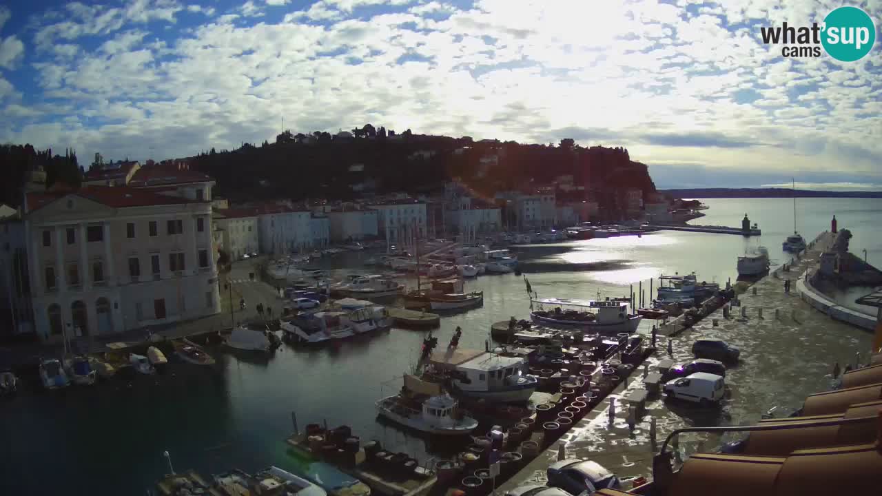 Webcam en direct de Piran “Mandrač” – Incroyable vue en direct de la Villa Piranesi