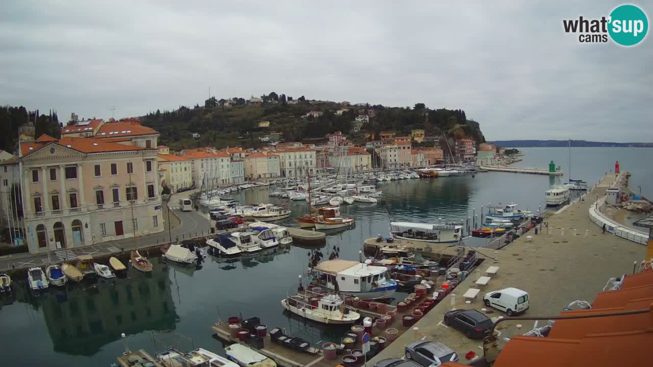 Webcam en direct de Piran “Mandrač” – Incroyable vue en direct de la Villa Piranesi