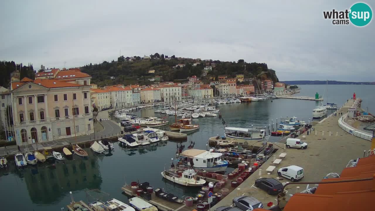 Live-Webcam aus Piran “Mandrač” – Erstaunliche Live-Ansicht von Villa Piranesi