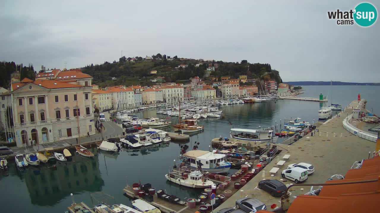 Cámara web en vivo desde Piran “Mandrač” – Increíble vista en vivo desde Villa Piranesi