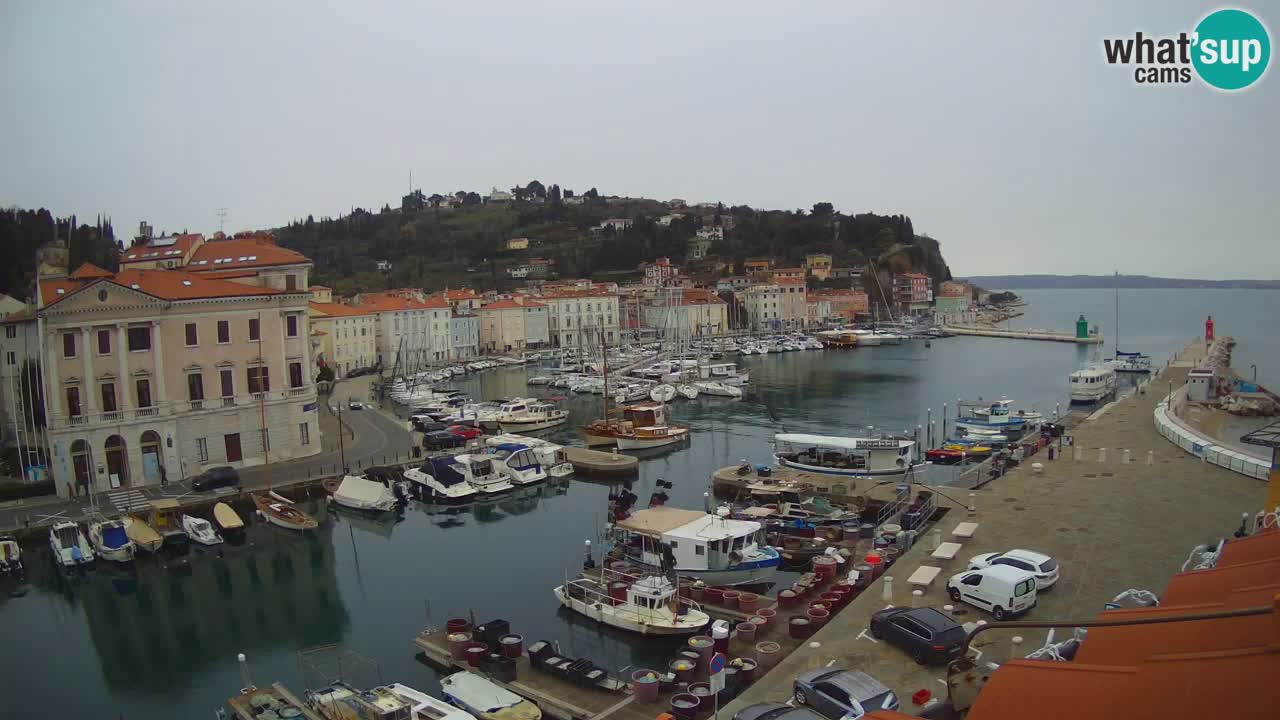 Live webcam da Pirano “Mandrač” – Splendida vista live da Villa Piranesi