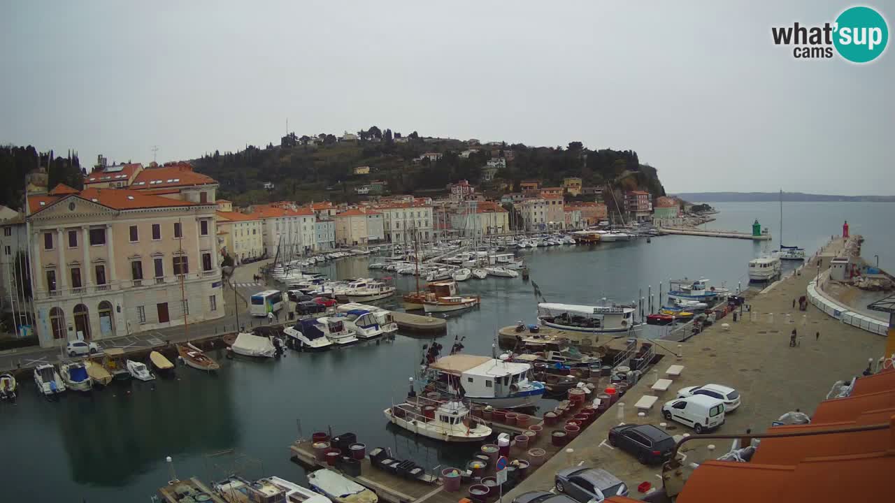 Webcam en direct de Piran “Mandrač” – Incroyable vue en direct de la Villa Piranesi