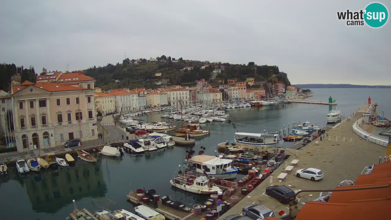 Webcam en direct de Piran “Mandrač” – Incroyable vue en direct de la Villa Piranesi