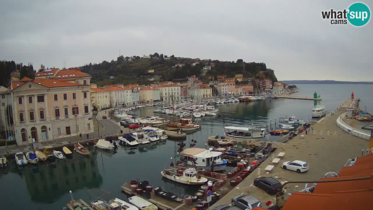 Webcam en direct de Piran “Mandrač” – Incroyable vue en direct de la Villa Piranesi