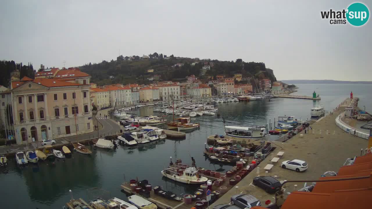 Live-Webcam aus Piran “Mandrač” – Erstaunliche Live-Ansicht von Villa Piranesi