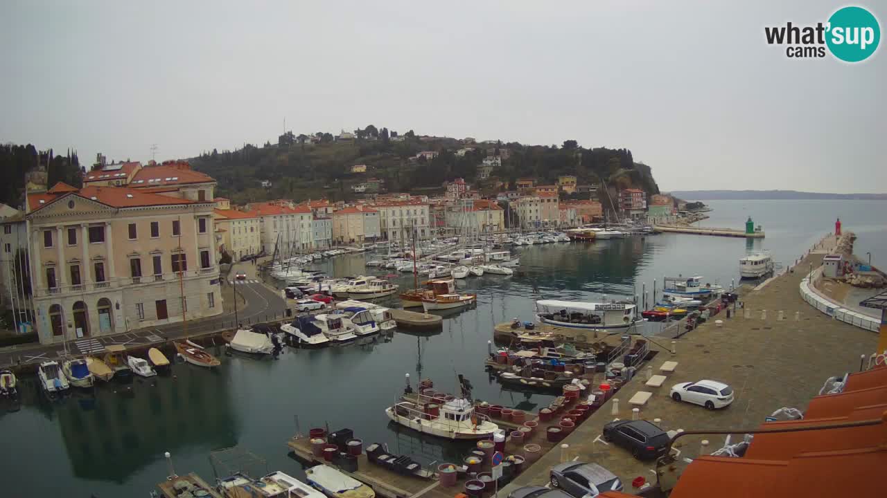 Live webcam from Piran “Mandrač” – Amazing live view from Villa Piranesi