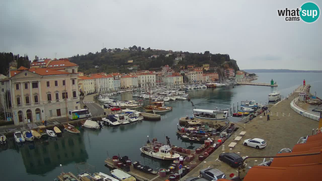 Webcam en direct de Piran “Mandrač” – Incroyable vue en direct de la Villa Piranesi