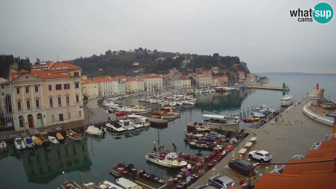 Live webcam from Piran “Mandrač” – Amazing live view from Villa Piranesi