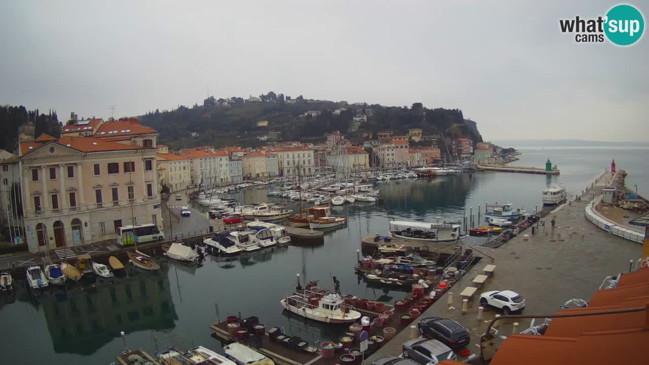 Live webcam from Piran “Mandrač” – Amazing live view from Villa Piranesi