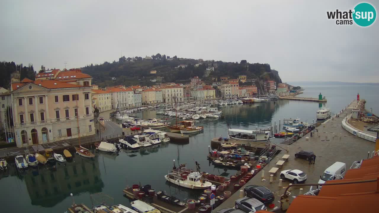 Live webcam from Piran “Mandrač” – Amazing live view from Villa Piranesi