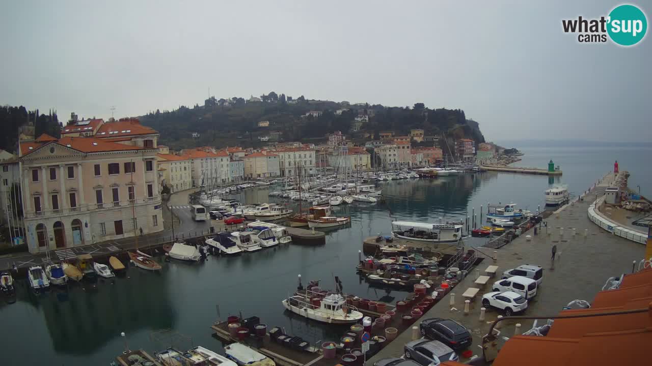 Live webcam from Piran “Mandrač” – Amazing live view from Villa Piranesi