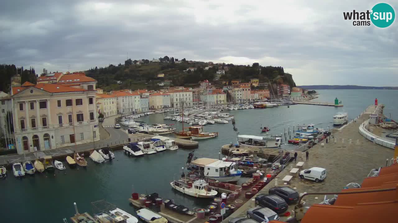 Live-Webcam aus Piran “Mandrač” – Erstaunliche Live-Ansicht von Villa Piranesi