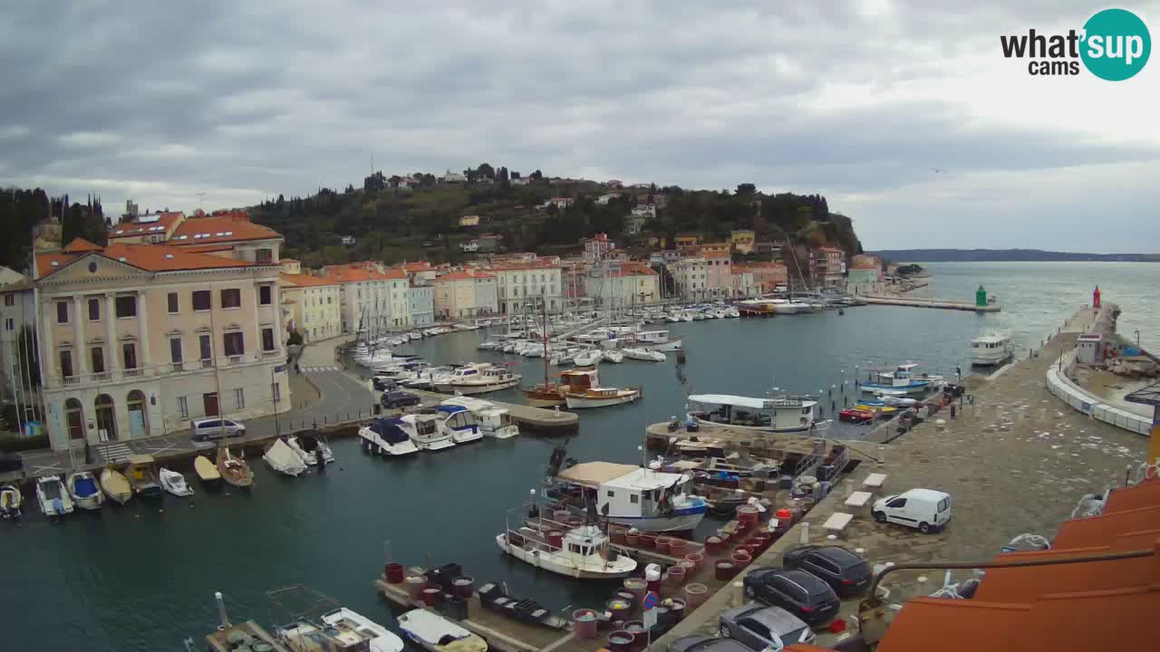 Live-Webcam aus Piran “Mandrač” – Erstaunliche Live-Ansicht von Villa Piranesi