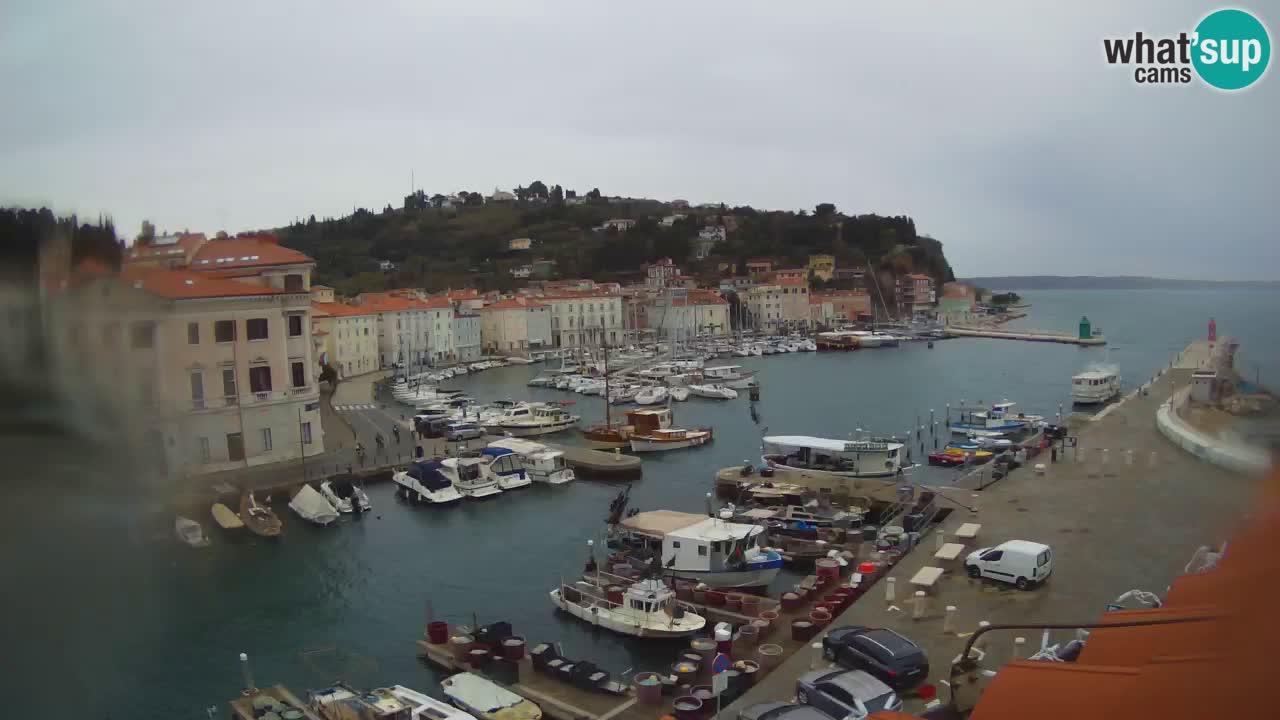 Webcam en direct de Piran “Mandrač” – Incroyable vue en direct de la Villa Piranesi