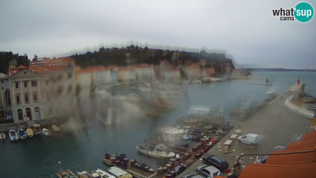 Cámara web en vivo desde Piran “Mandrač” – Increíble vista en vivo desde Villa Piranesi