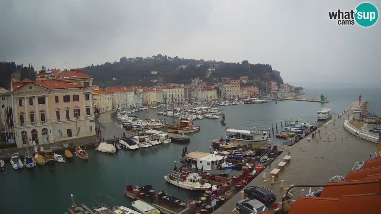 Webcam en direct de Piran “Mandrač” – Incroyable vue en direct de la Villa Piranesi