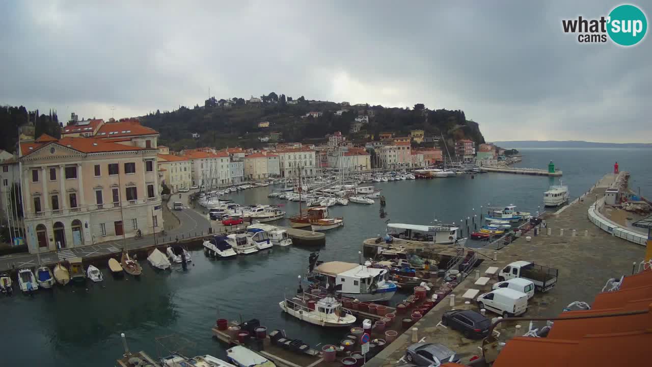 Live webcam da Pirano “Mandrač” – Splendida vista live da Villa Piranesi