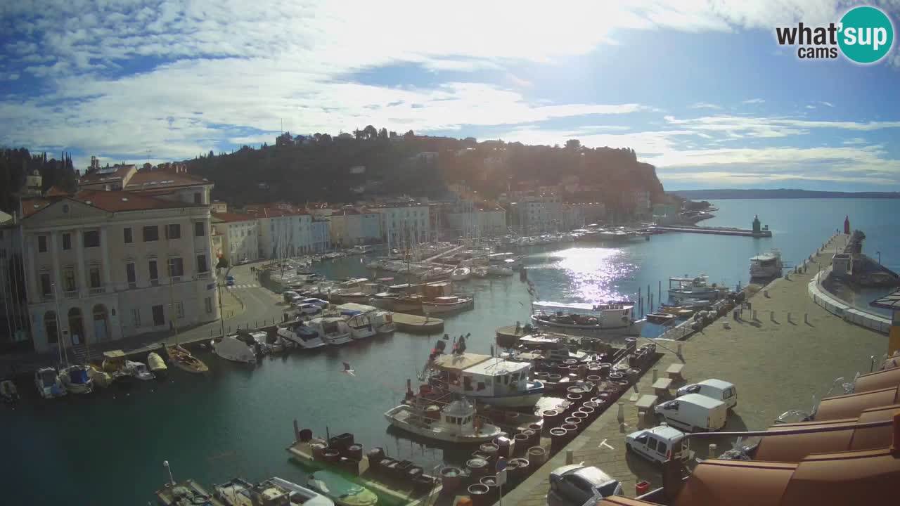 Live webcam from Piran “Mandrač” – Amazing live view from Villa Piranesi