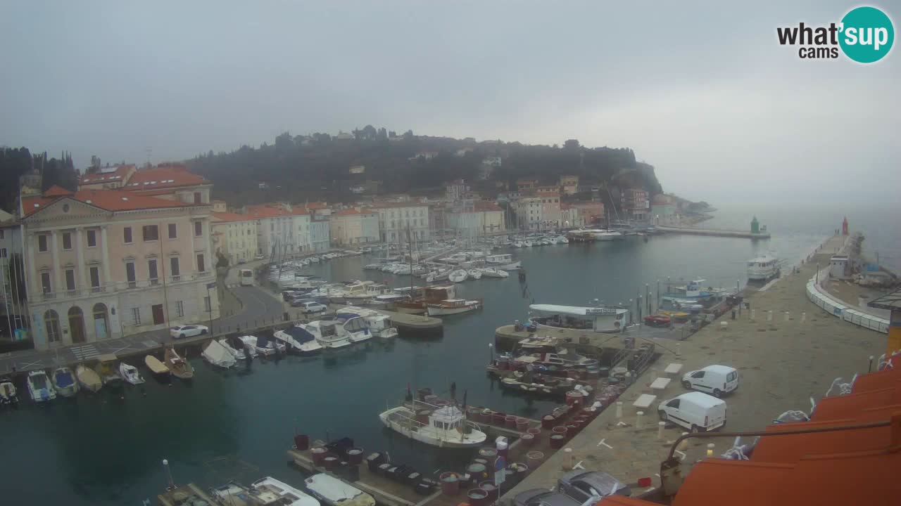 Webcam en direct de Piran “Mandrač” – Incroyable vue en direct de la Villa Piranesi