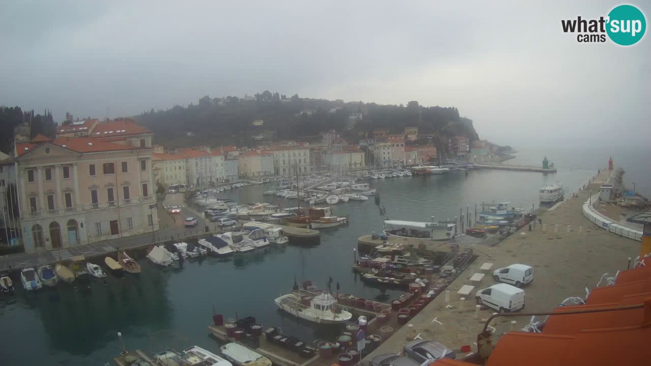 Live webcam da Pirano “Mandrač” – Splendida vista live da Villa Piranesi