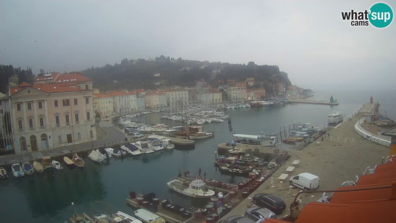 Live webcam da Pirano “Mandrač” – Splendida vista live da Villa Piranesi