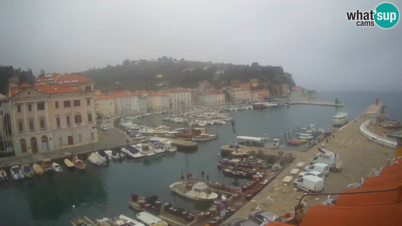 Live webcam da Pirano “Mandrač” – Splendida vista live da Villa Piranesi