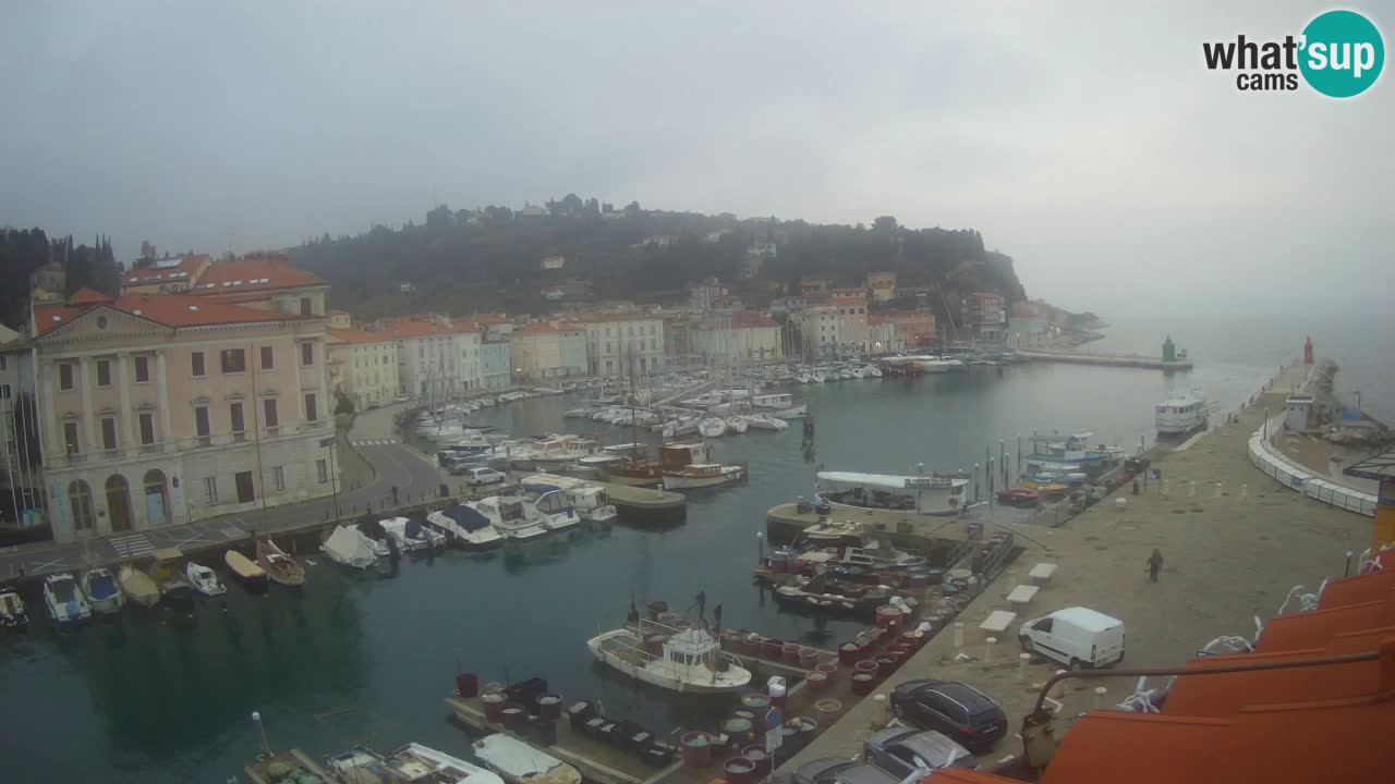 Live webcam da Pirano “Mandrač” – Splendida vista live da Villa Piranesi