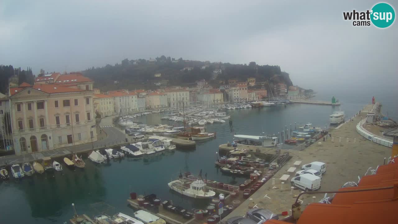 Live webcam from Piran “Mandrač” – Amazing live view from Villa Piranesi