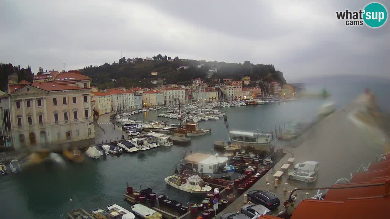 Live webcam da Pirano “Mandrač” – Splendida vista live da Villa Piranesi