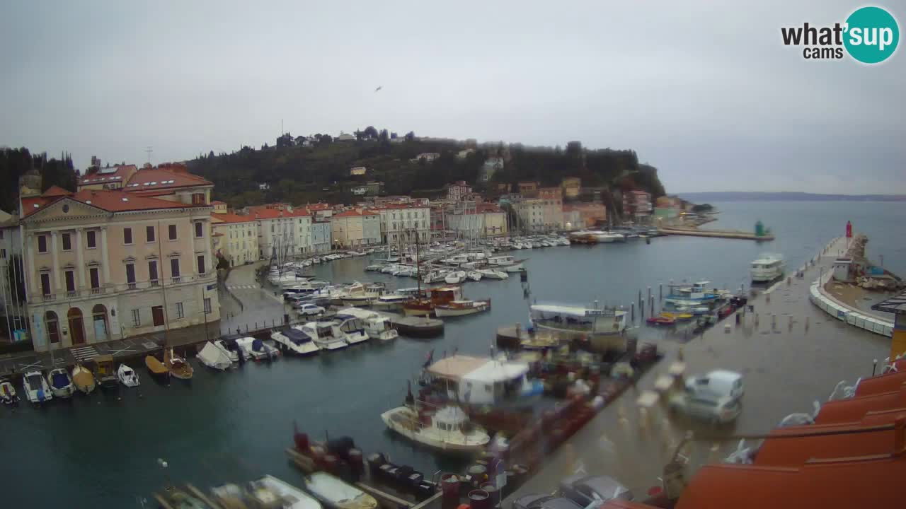 Live webcam da Pirano “Mandrač” – Splendida vista live da Villa Piranesi