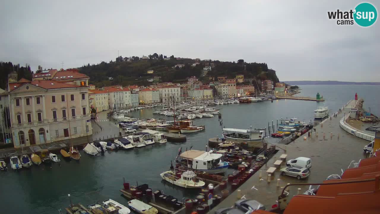 Live-Webcam aus Piran “Mandrač” – Erstaunliche Live-Ansicht von Villa Piranesi