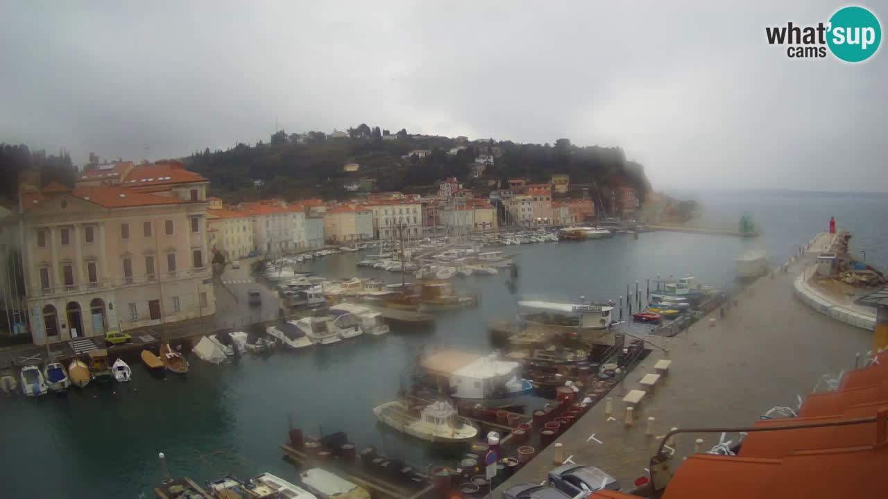 Webcam en direct de Piran “Mandrač” – Incroyable vue en direct de la Villa Piranesi